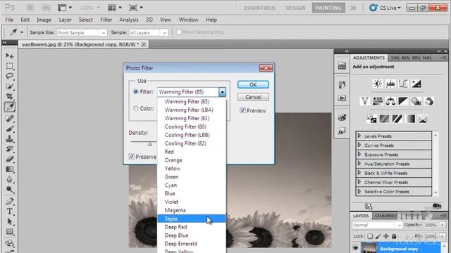 Photoshop - Sepia Effect
