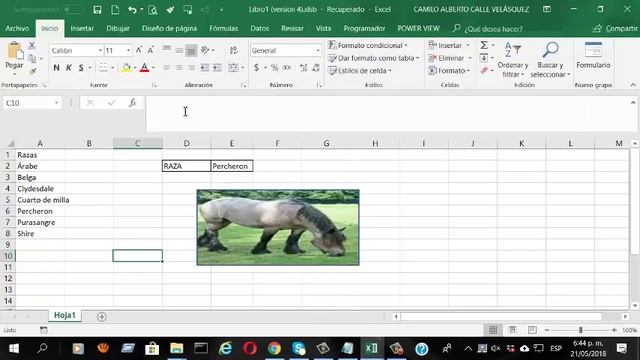 INGRESAR IMAGENES CON MACROS EN EXCEL смотреть онлайн