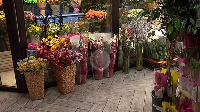 8 марта каждый мужчина дарит своей любимой женщине, маме или дочери благоухающий букет. смотреть онлайн
