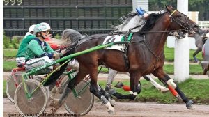 Орловские рысаки в Париже на Венсенском ипподроме