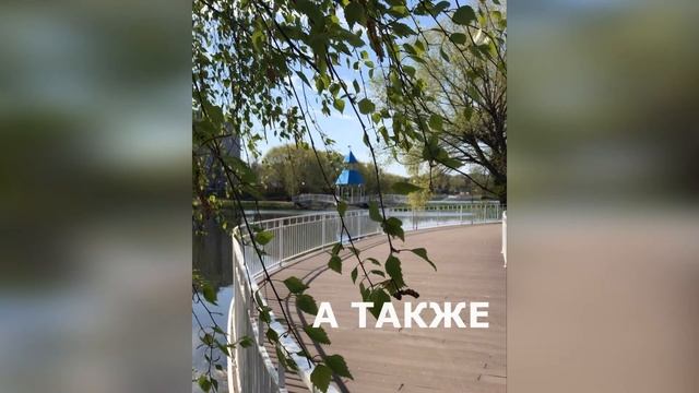 Ласковая ферма Бронницы МО смотреть онлайн