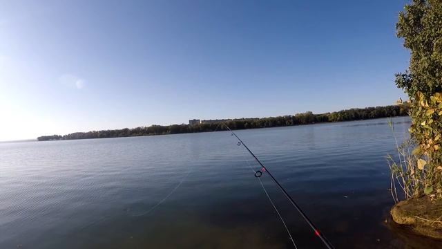 Рыбалка. Щуки на воблер ранней осенью и тройной крючек в палец. смотреть онлайн