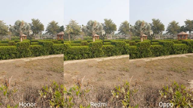 Honor Magic 6 Pro VS OPPO Find X7 Ultra VS Redmi Note 13 Pro Plus Camera Test смотреть онлайн