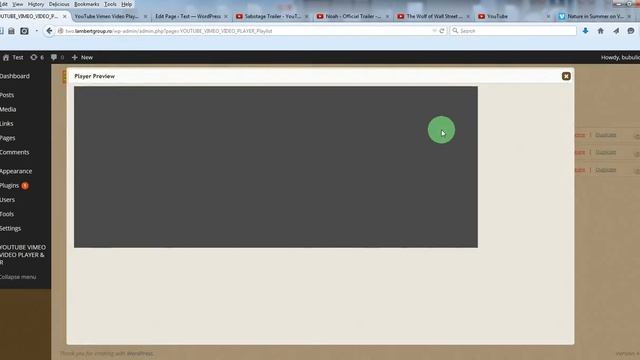Youtube Vimeo Video Player & Slider WordPress Plugin - how to create a video player смотреть онлайн