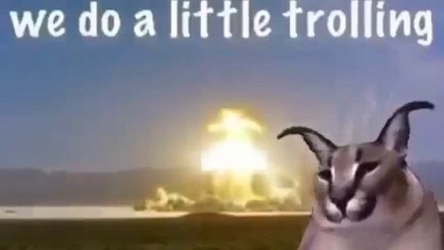 floppa trolling смотреть онлайн