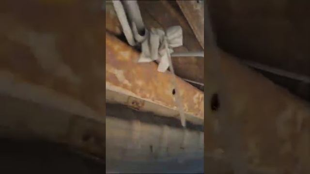 Тойота превия 1 смотреть онлайн