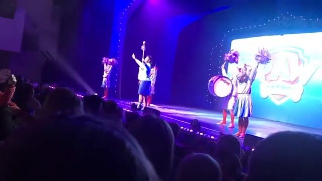 Щенячий патруль снова за дело ШОУ смотреть онлайн