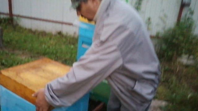 Ещё раз про подсадку дорогих маток