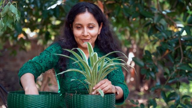 Gardening in India & Germany: Unfolding the Differences смотреть онлайн