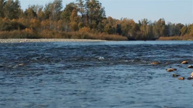 Гармонь смотреть онлайн