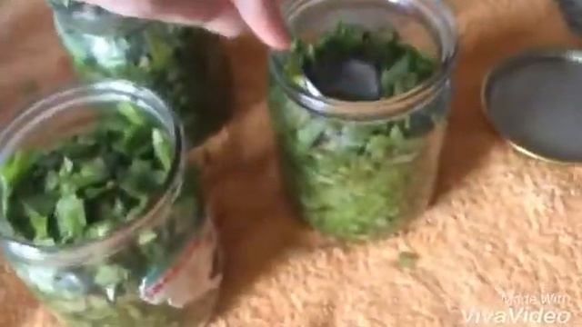 Щавель на зиму смотреть онлайн