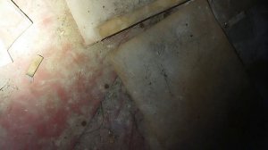 Заброшенная художественная школа