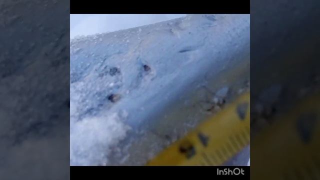 мотособака из того, что есть. Завершил возиться с волокушами С-5 смотреть онлайн