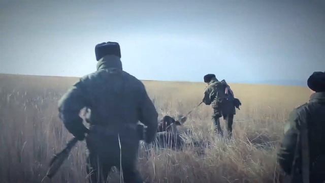 А на плечах у нас зеленые погоны смотреть онлайн