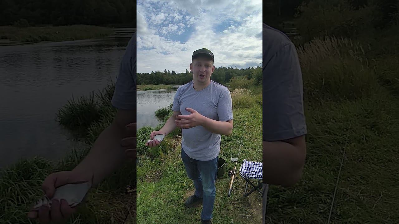 Рыбалка на фидер.Рыбалка на малой реке. #рыбалка #shorts #fishingvideo смотреть онлайн