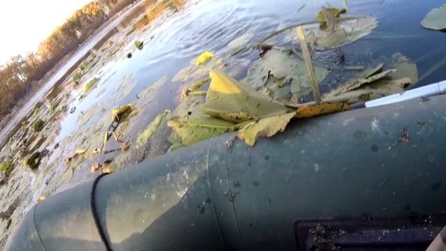 Ловля карася с лодки на поплавочную удочку осенью