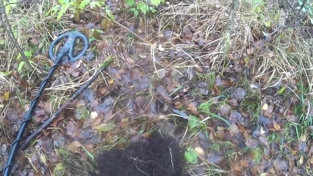 ЧТО МОЖНО НАЙТИ В МРАЧНОМ ЛЕСУ!!! смотреть онлайн