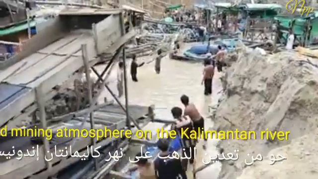 SUASANA DI | TAMBANG EMAS KALIMANTAN | SUNGAI EMAS | RAKIT TAMBANG EMAS | EMAS KALIMANTAN смотреть онлайн