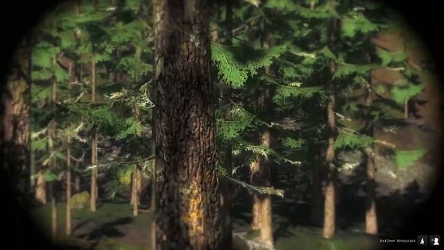 the Hunter - Олень Рузвельта [Основы охоты] #17 смотреть онлайн