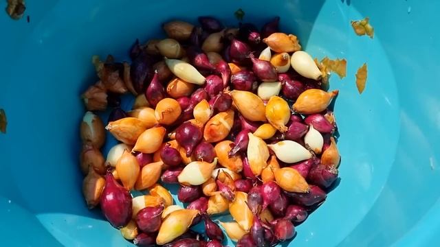 продал весь металлолом с дачи ✔ посадил первые грядки ✔ подготовил технику смотреть онлайн