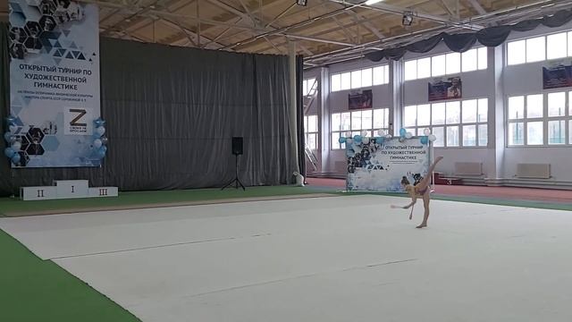 В турнире по художественной гимнастике участвуют 238 спортсменок смотреть онлайн