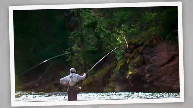 Photo Transitions by _lexel_ | Premiere Pro Project - Videohive template смотреть онлайн