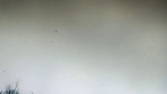 Твоих очей очарованье ...- романс- поёт Николай Саллас смотреть онлайн