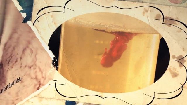 Savonry. Презентационный ролик о компании смотреть онлайн