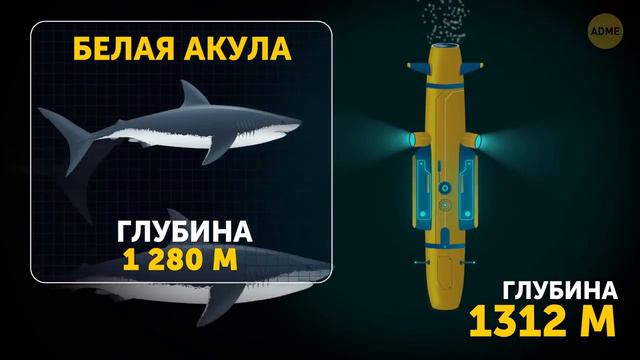 Путешествие внутри Марианской Впадины