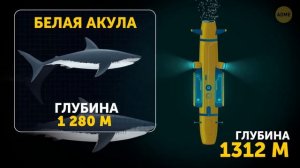 Путешествие внутри Марианской Впадины