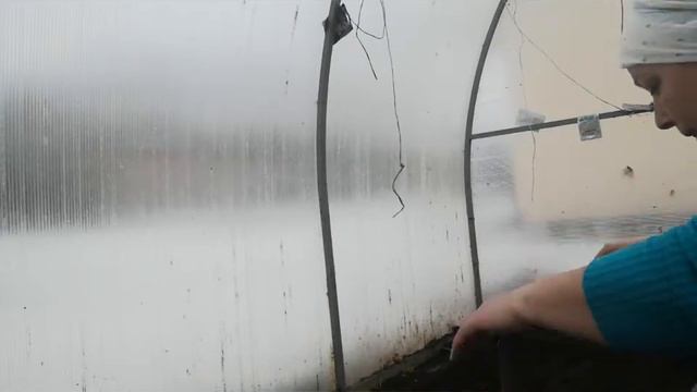 Трудовой десант в теплице.Сею капусту. #маринкаизглубинки #сеюкапусту👩👦👦👨👧👧🌄 смотреть онлайн