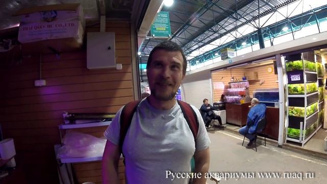 Птичий рынок смотреть онлайн