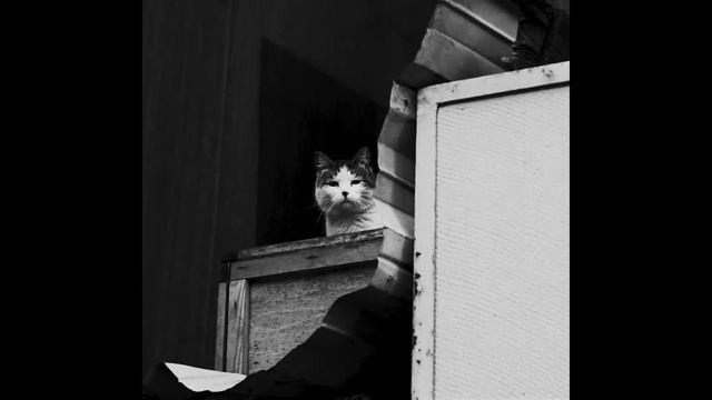 [FREE] BABY KEEM X ASAP ROCKY TYPE BEAT - COLD смотреть онлайн