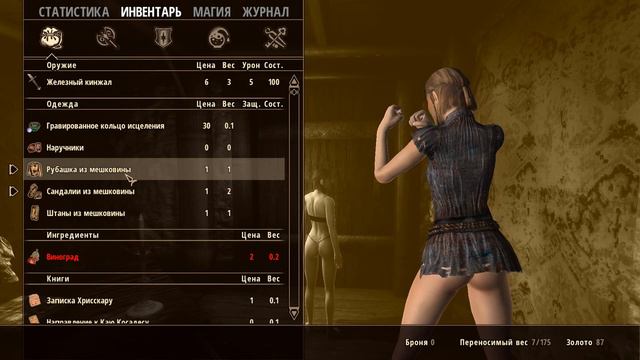 TES III Morrowind Remake смотреть онлайн