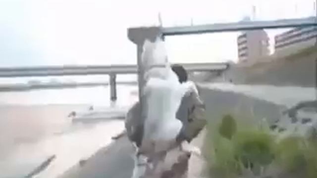 Я устал, возьми меня на ручки! смотреть онлайн
