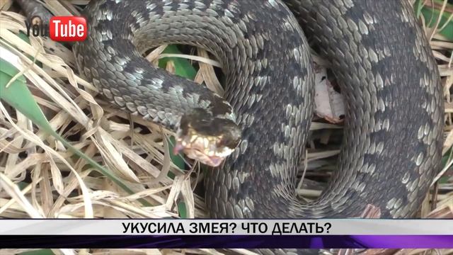 Экзотические таинства