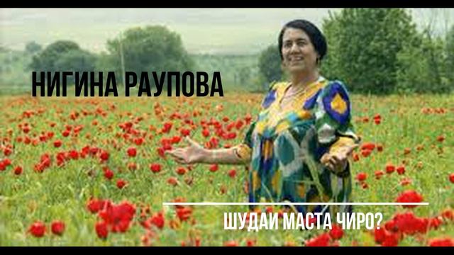 НИГИНА РАУПОВА-ШУДАИ МАСТ ЧАРО|NIGINA RAUPOVA-SHUDAI MAST CHARO смотреть онлайн
