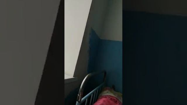 Ставропольский край село Александровская Больница смотреть онлайн