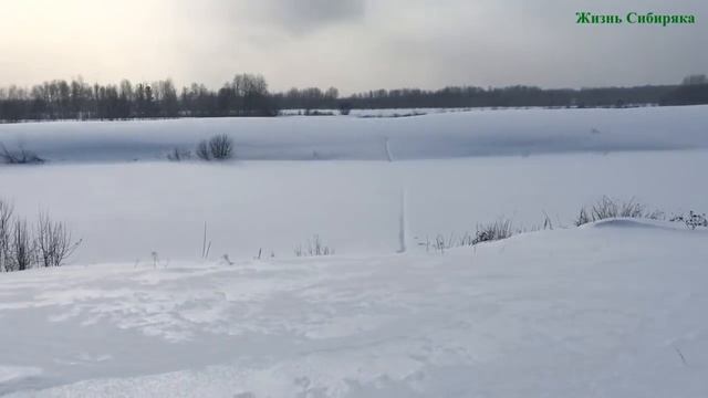 Мотобуксировщик УРАГАН ВОЛК толкач по крутым горкам// Мотобуксировщик повышенной проходимости смотреть онлайн