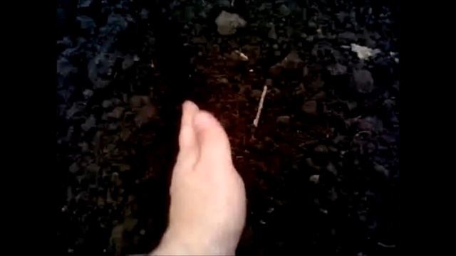 Кулинарные Ингредиенты