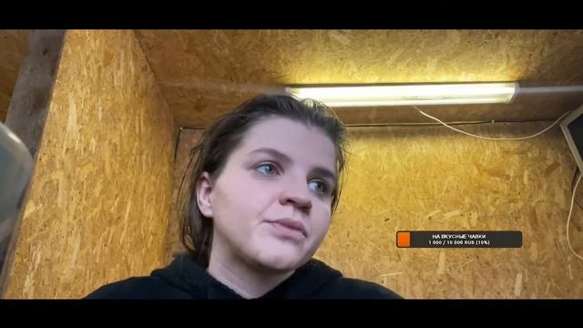 В гости с гостями. Юлия Садовская, спасатель лебедей и тюленей