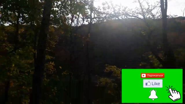 Диетический супчик с чечевицей// Осенний лес// Скумбрия запеченная с овощами//