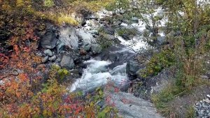 На оздоровление желудка (любимые фразы и фрагменты)