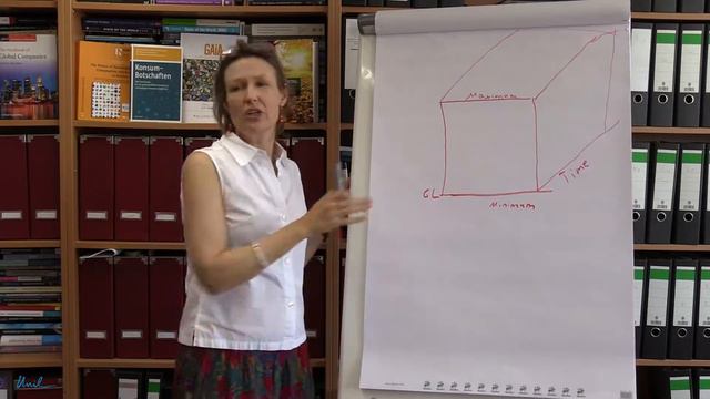 Sustainable Consumption Teaching Video Series: Doris Fuchs on "Sustainable Consumption Corridors" смотреть онлайн
