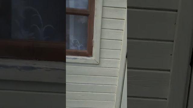 Дачный участок, снт Флора смотреть онлайн