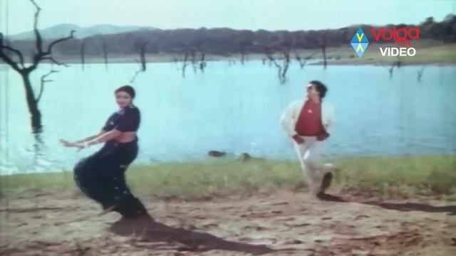 Sridevi Top 10 Super Hit Songs || Sridevi Telugu Hit Songs || Sridevi 2016 || Volga Videos