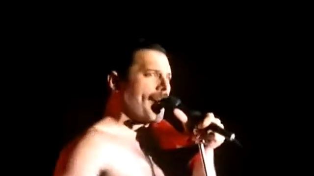 Fred Mercury смотреть онлайн