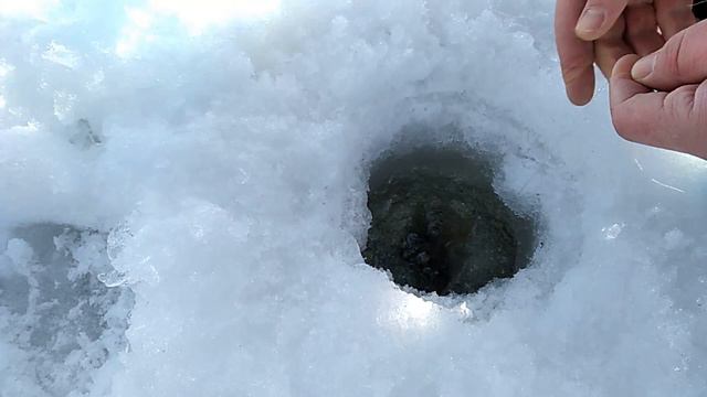 Фрязево, Дичка 19 02 2019г смотреть онлайн