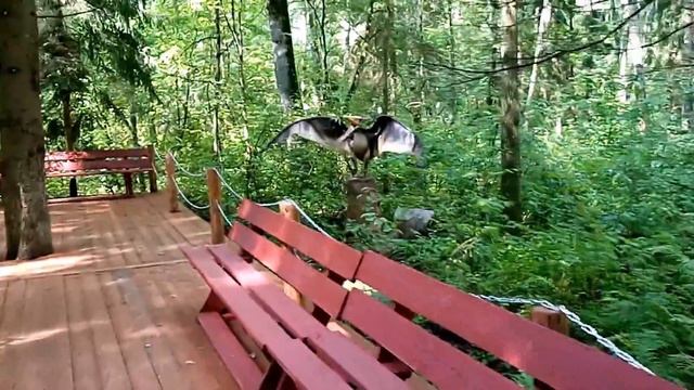 Огромный интерактивный парк Динозавров в лесу! Динопарк рядом с Москвой, Этномир Калужская область