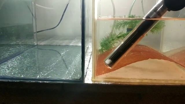 НЕРЕСТ Тернецией смотреть онлайн